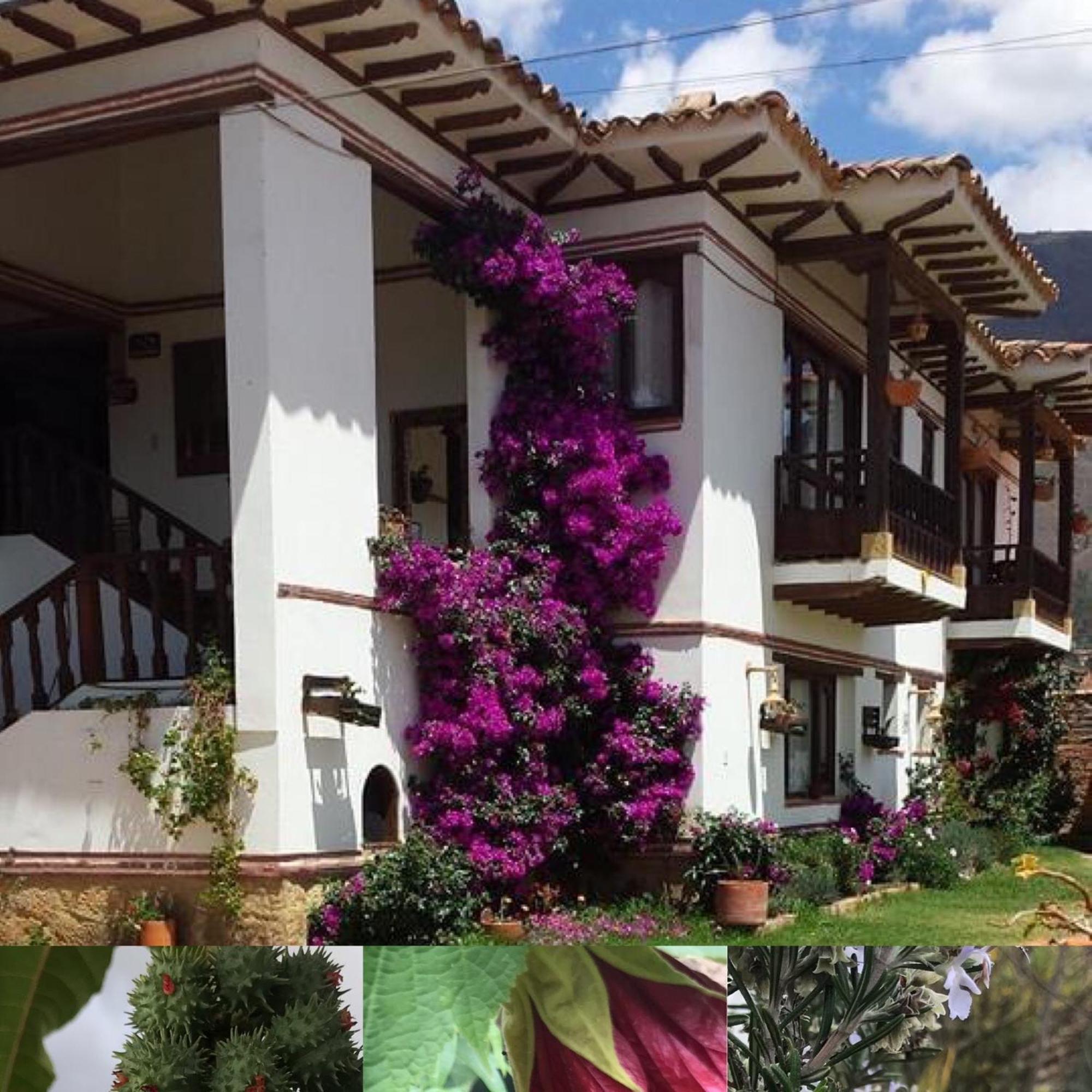 Hotel Santa Viviana Villa De Leyva Bagian luar foto